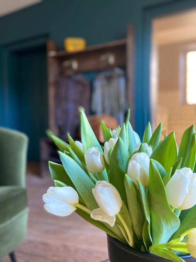 Bed and Breakfast La Tour Yveline Роман-сюр-Изер Экстерьер фото
